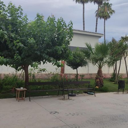 Apartamento Con Piscina Y Cerca De La Playa Apartment Benicassim Bagian luar foto